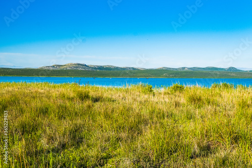 Beautiful meadow and green lake in ornithological nature park Vrana  Vransko jezero  in Dalmatia  Croatia