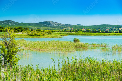 Beautiful meadow and green lake in ornithological nature park Vrana (Vransko jezero) in Dalmatia, Croatia
