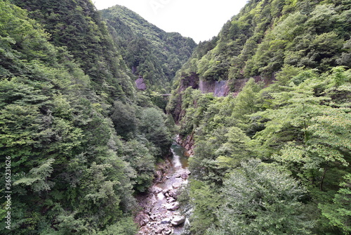 渓谷の景色