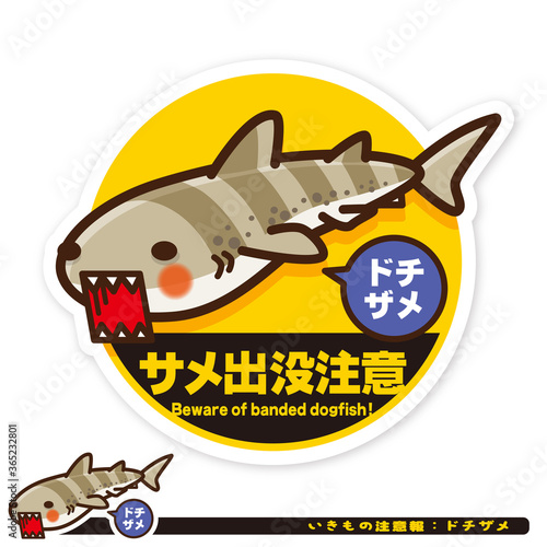 いきもの注意報：サメ（ドチザメ）出没注意サイン