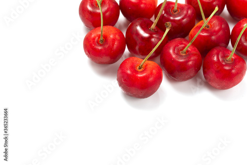 Wallpaper Mural さくらんぼ Torontodigital.ca