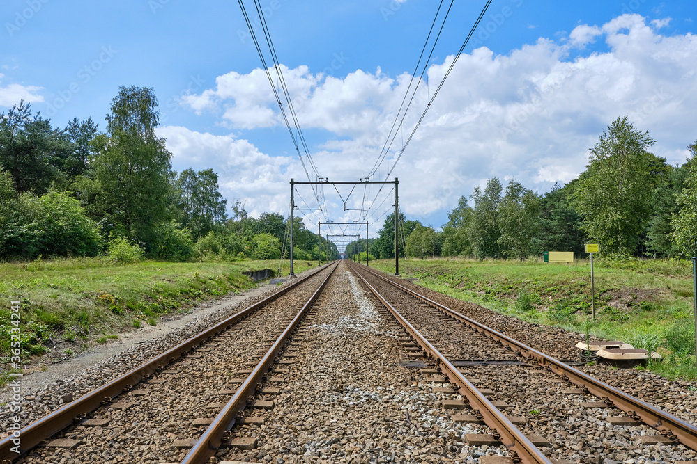 Two railway tracks with electric power cables into the distance in the middle of a green forest, the Netherlands Two railway tracks with electric power cables into the distance in the middle of a green forest, the Netherlands