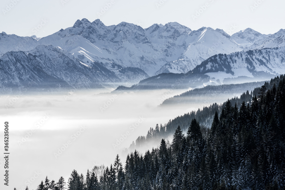 Forested mountain slope and mountain range with snow in low lying valley fog with silhouettes of evergreen conifers shrouded in mist. Snowy winter landscape in Alps, Allgau, Kleinwalsertal, Bavaria.