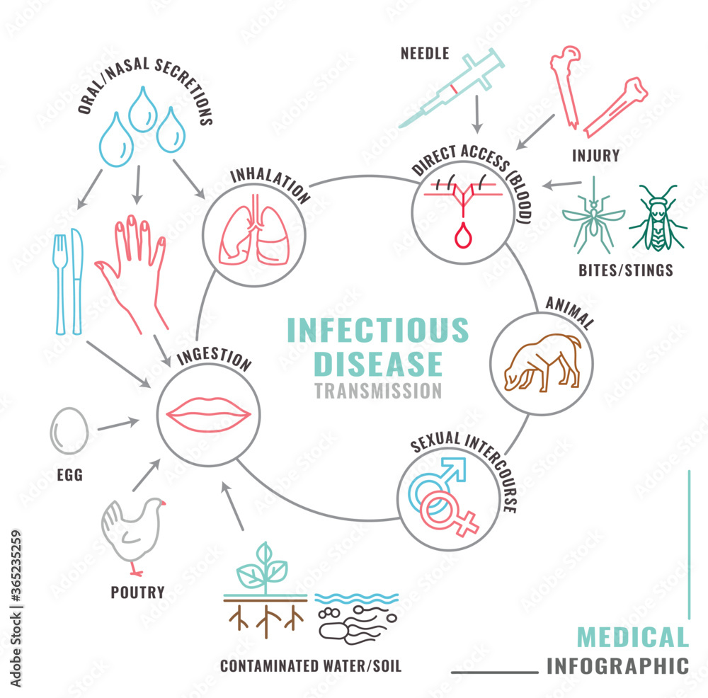 Infectious disease transmission