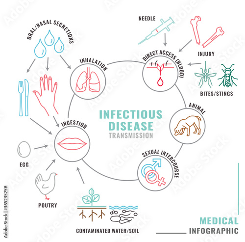 Infectious disease transmission