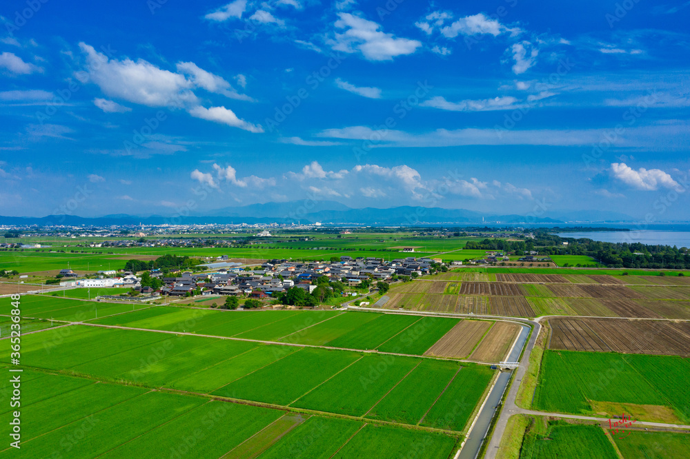 田園風景と琵琶湖