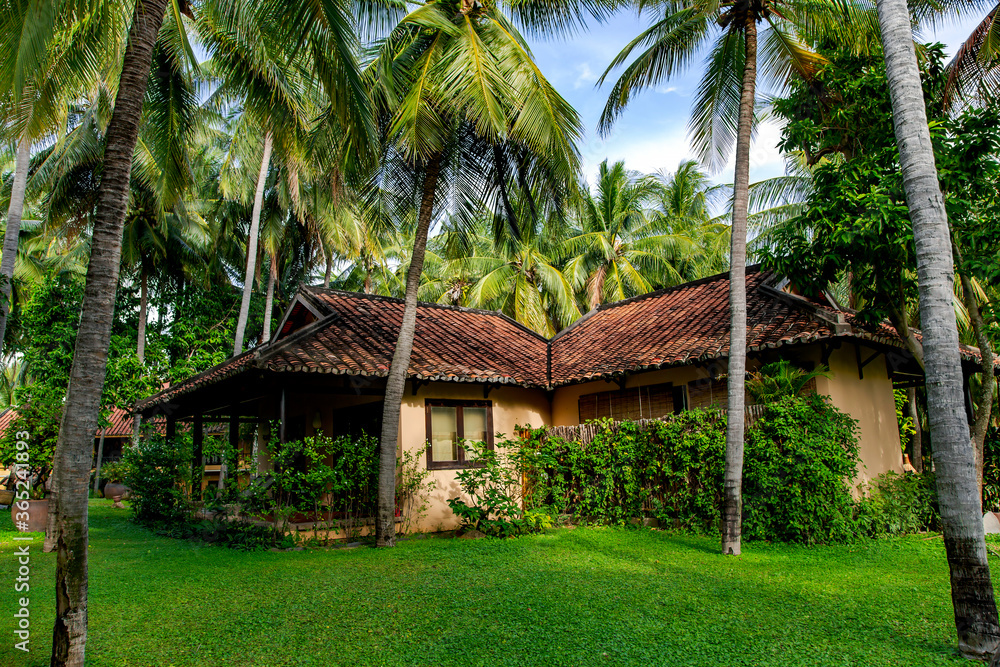 Bungalow under the red tiles in a tropical garden. Mui Ne. Vietnam Bungalow under the red tiles in a tropical garden. Mui Ne. Vietnam