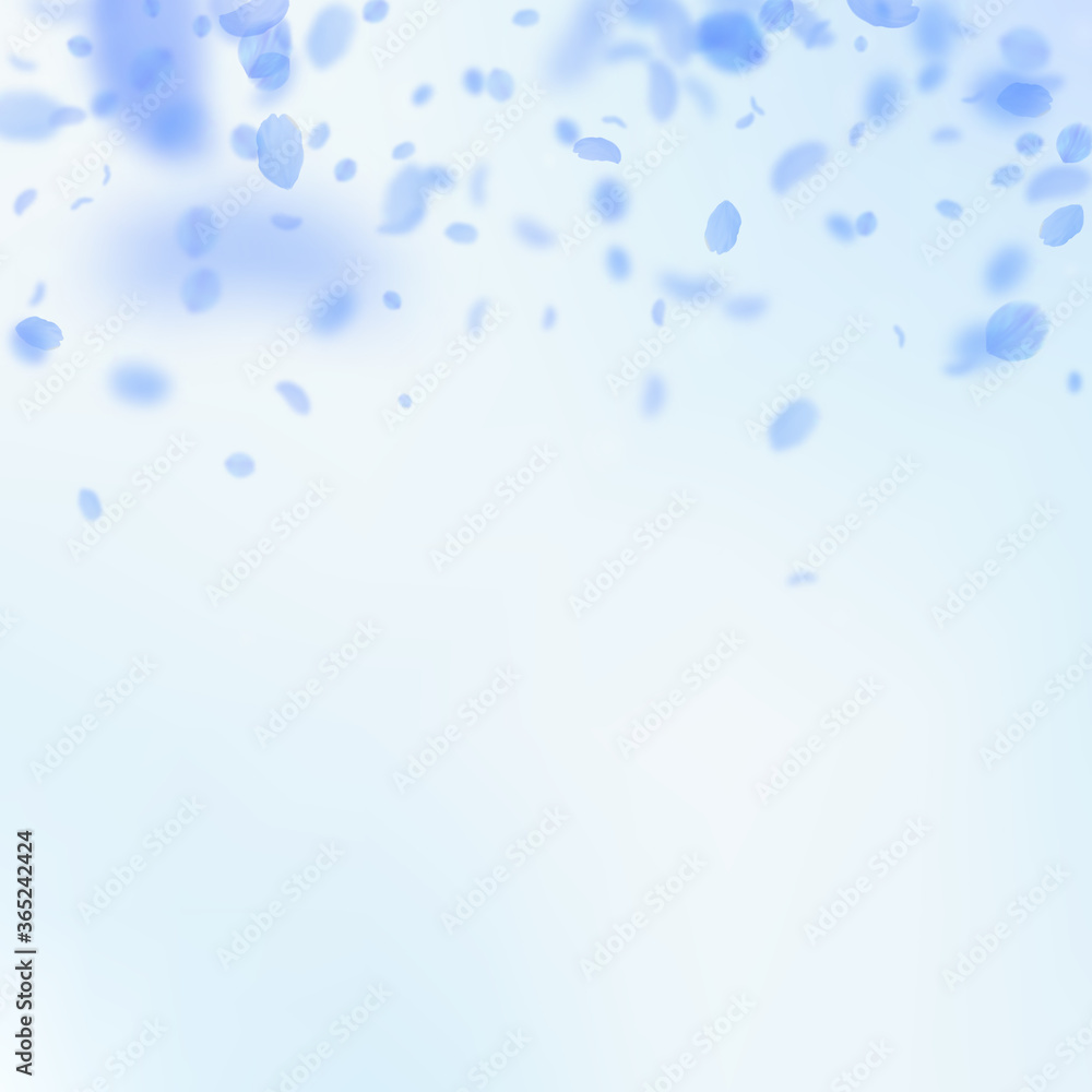 Dark blue flower petals falling down. Delicate rom Dark blue flower petals falling down. Delicate rom