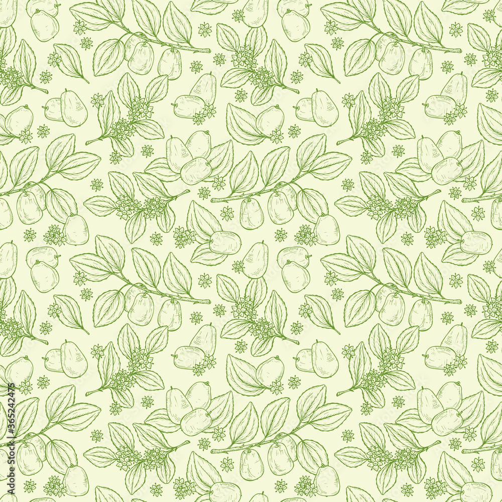 Floral seamless pattern. Exotic tropical fruit Jujube sometimes Ziziphus jujuba or zizyphus, red date, Chinese date, Korean date, Indian date. Leaves, Flowers, Berries. Medicinal plant