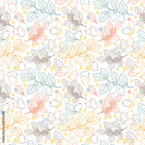 Floral seamless pattern. Exotic tropical fruit Jujube sometimes Ziziphus jujuba or zizyphus  red date  Chinese date  Korean date  Indian date. Leaves  Flowers  Berries. Medicinal plant