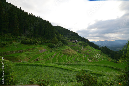 内子の泉谷棚田