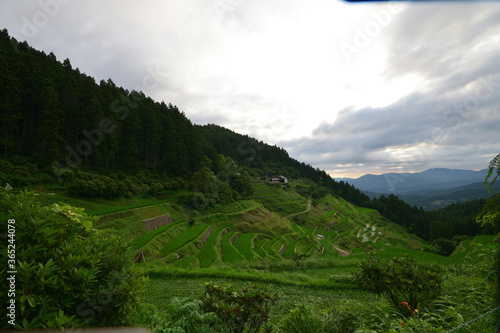 内子の泉谷棚田