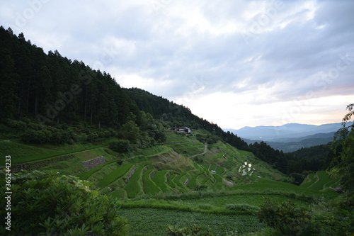 内子の泉谷棚田