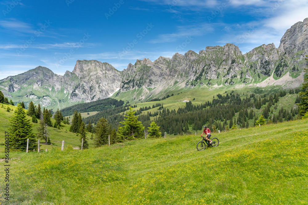 active senior woman riding her electric mountain bike below the seven summits of Churfirsten in Canton St. Gallen, Switzerland, landscape