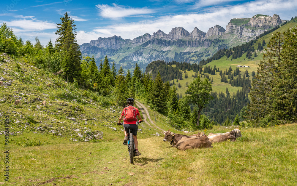 active senior woman riding her electric mountain bike below the seven summits of Churfirsten in Canton St. Gallen, Switzerland, landscape