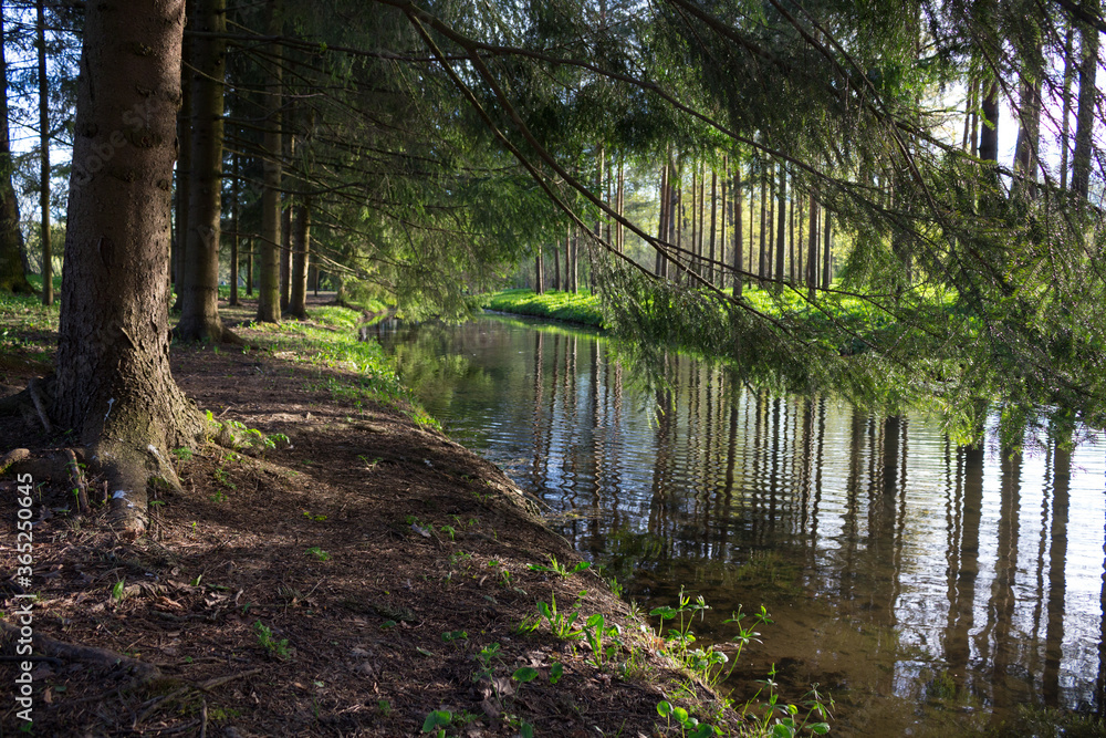Fototapeta premium Fish channel in Catherine Park, on both sides planted with trees that are reflected in the water of the channel.