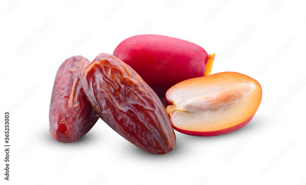 phoenix dactylifera  isolated on white background