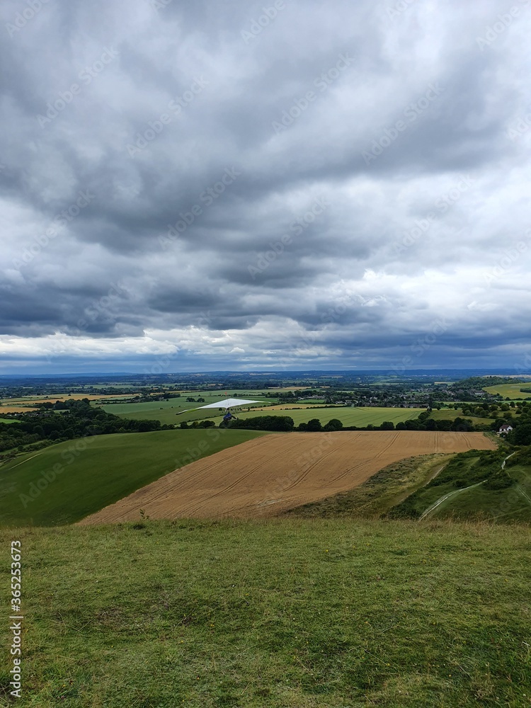 Obraz premium green field and blue sky