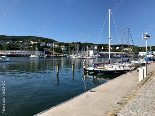 boats in marina