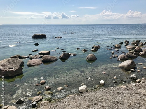 rocks in the sea