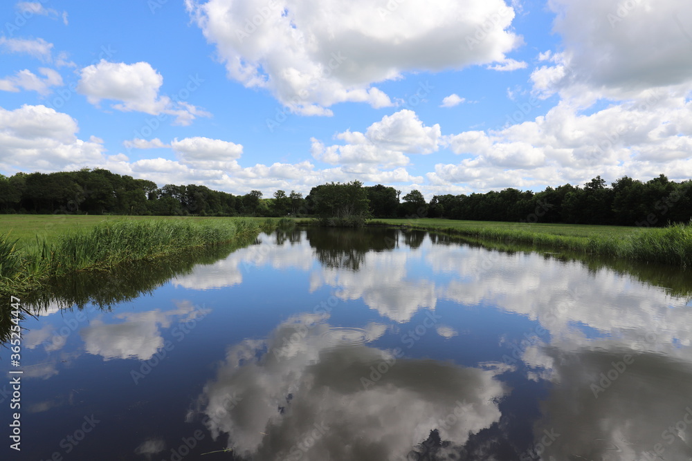 Beautiful view over Dutch water landscape during the summer with a beautiful blue sky and white clouds.