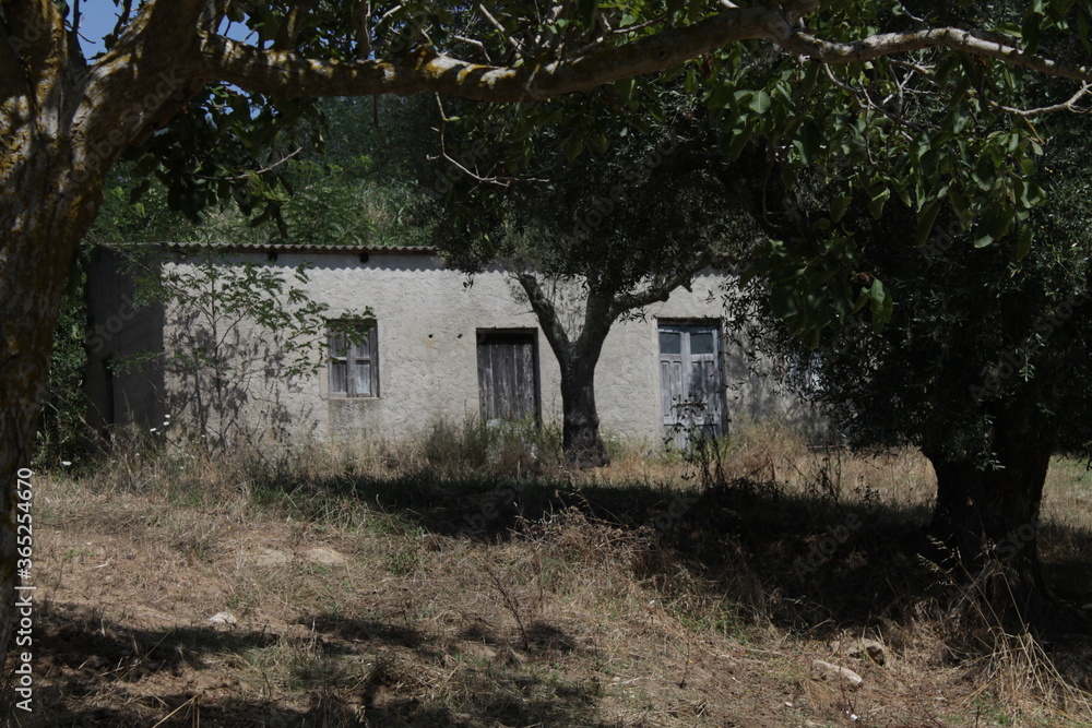 old abandoned house old abandoned house