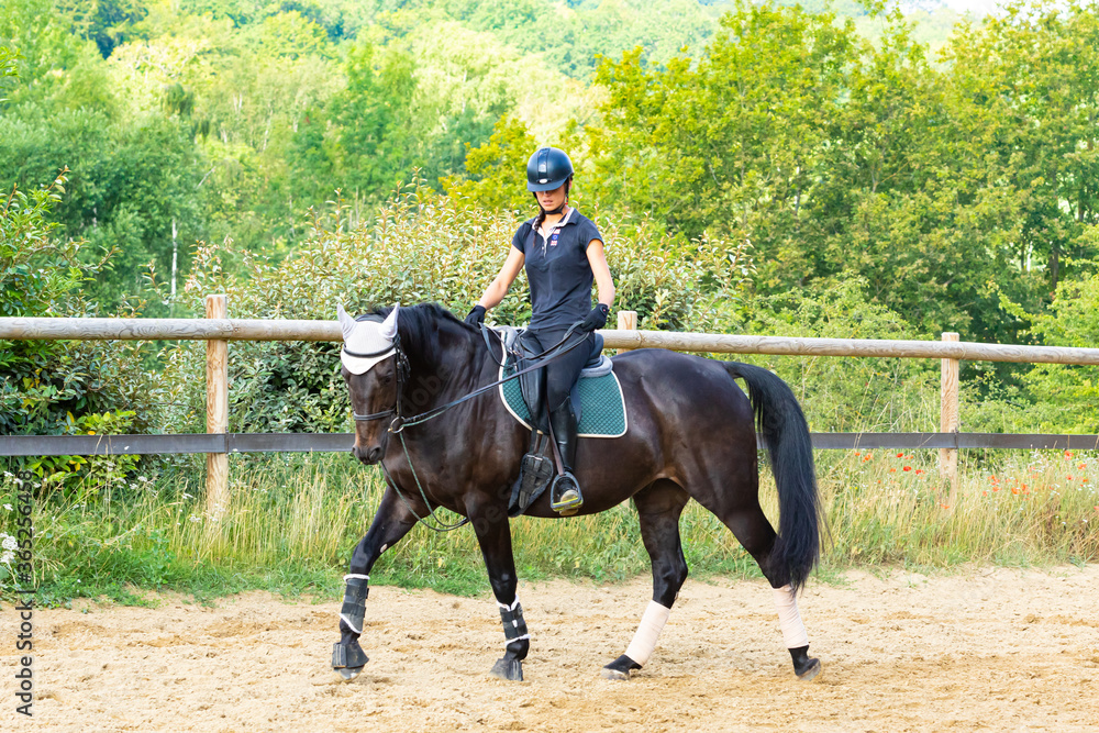 training of a rider and her bay horse in dressage training of a rider and her bay horse in dressage