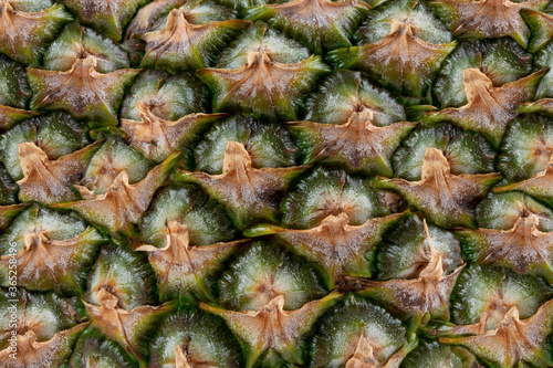 Extreme closeup details of a pineapple. 