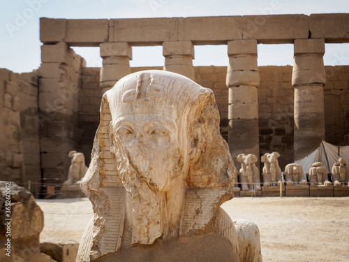 details of the sphinx inside karnak temple complex in luxor