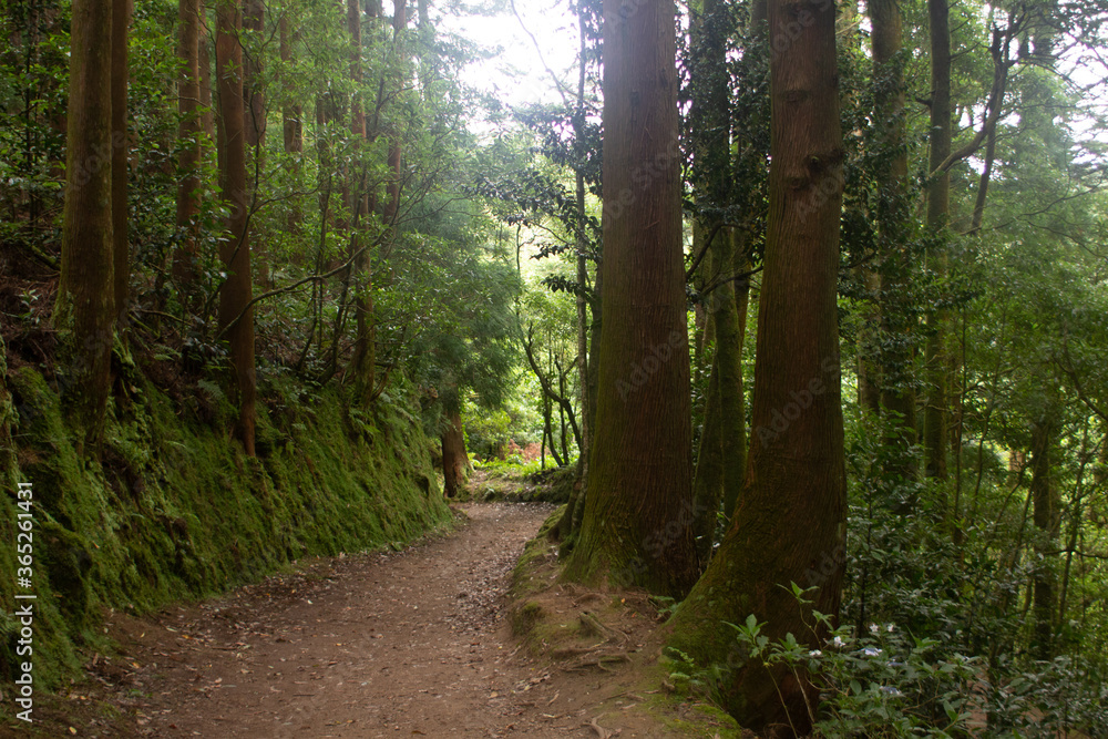 Açores; Azores