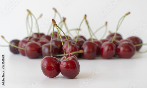 fruit of Prunus avium. ripe berries of juicy cherries isolated on a white background.