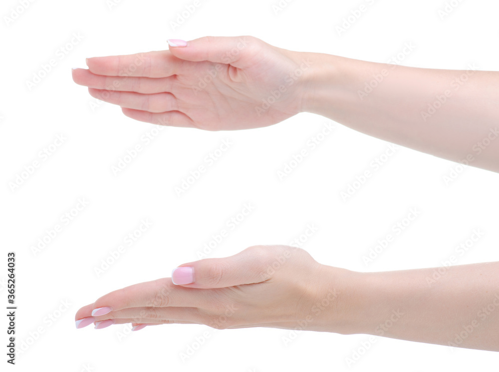 Female hands sign holding empty on white background isolation