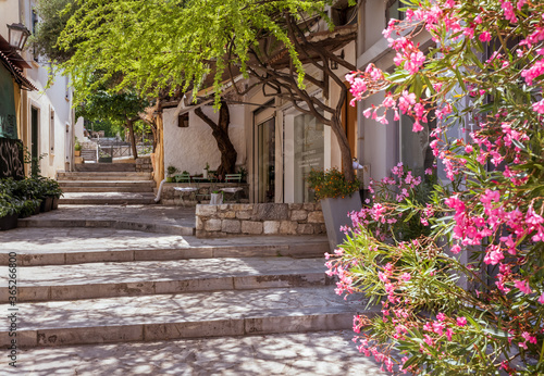 Picturesque quiet alley in the Plaka old town of Athens with steps  trees and flowers.