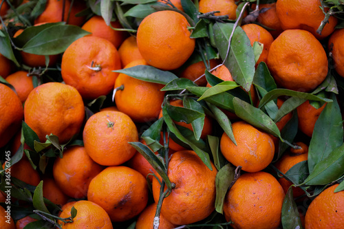 Pile of freshily picked mandarins with leaves