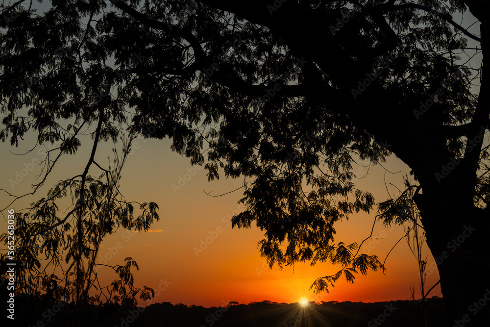 Pôr do sol entre árvores e arbustos na GO-462. Pôr do sol entre árvores e arbustos na GO-462.