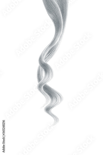 Gray hair on white background, isolated. Thin curly threads