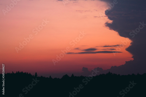 Forest silhouette at sunset with a cloud on the right side