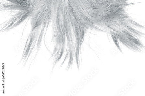 Gray disheveled hair on white  isolated. Background with copy space