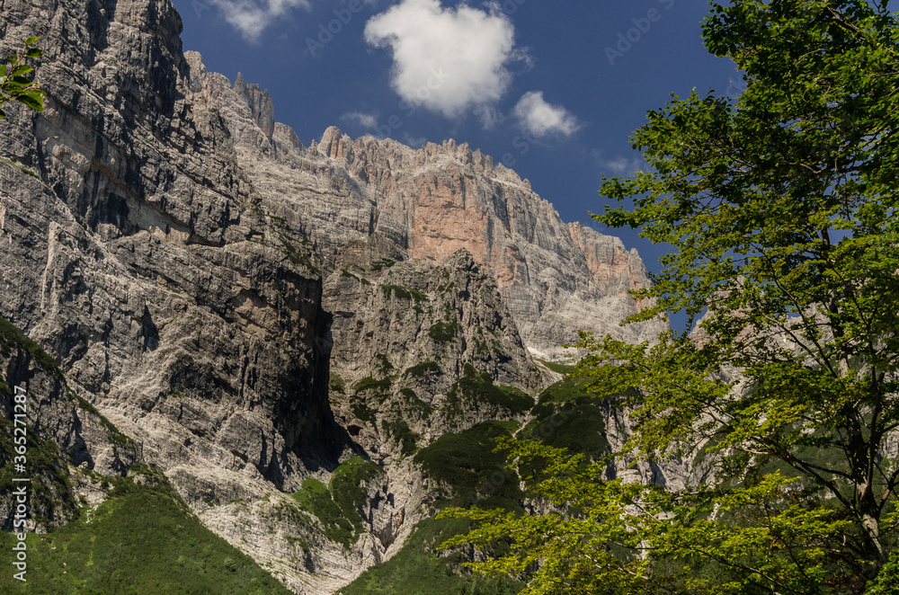 Cima Brenta massif with Cima Sella, as seen from Croz dell Altissimo refuge, Brenta Dolomites, Molveno, Trentino, Italy.