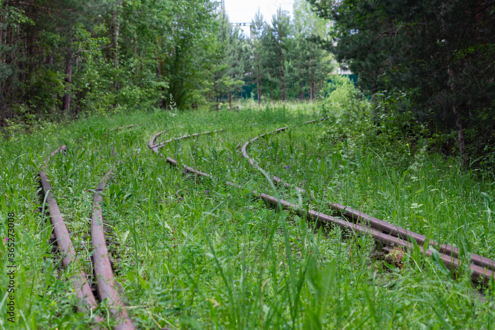 Railroad for a train in the grass. abandoned railway Railroad for a train in the grass. abandoned railway