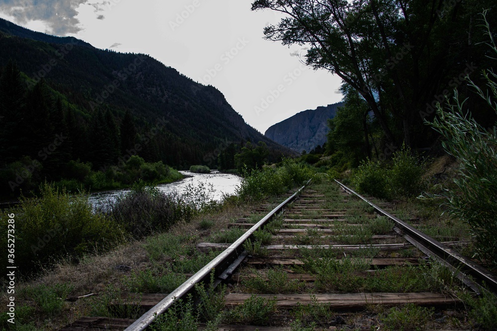 Point of view of a rail road track in the moutons.