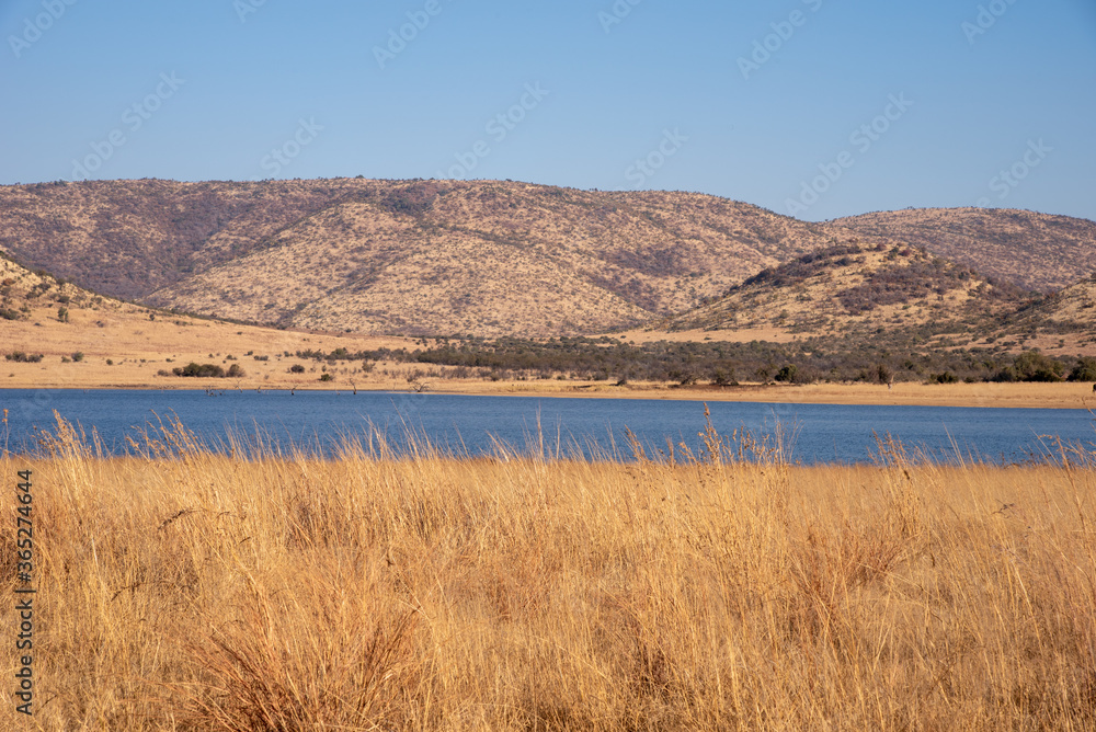 Obraz premium A lake in the african winter wilderness.