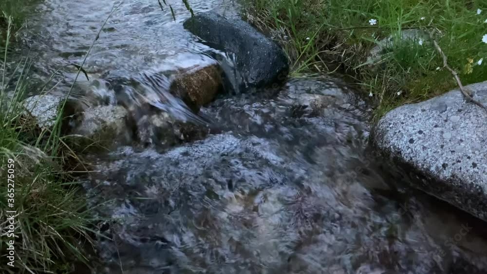 A beautiful mountain stream. Natural source of clean water in the mountains. Aerial view of a beautiful mountain summer landscape. A beautiful mountain stream. Natural source of clean water in the mountains. Aerial view of a beautiful mountain summer landscape.