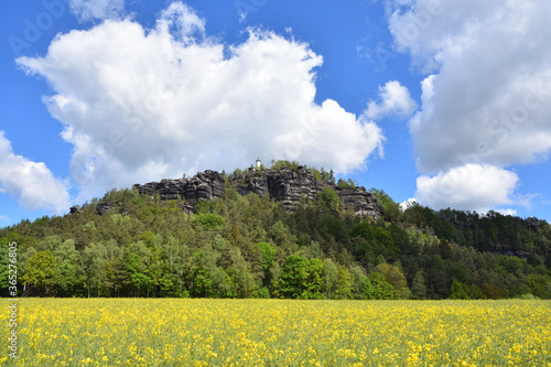 Papststein in der Sächsischen Schweiz im Frühjahr photo