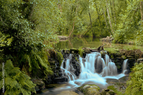 long exposure of river with waterfall surrounded by vegetation