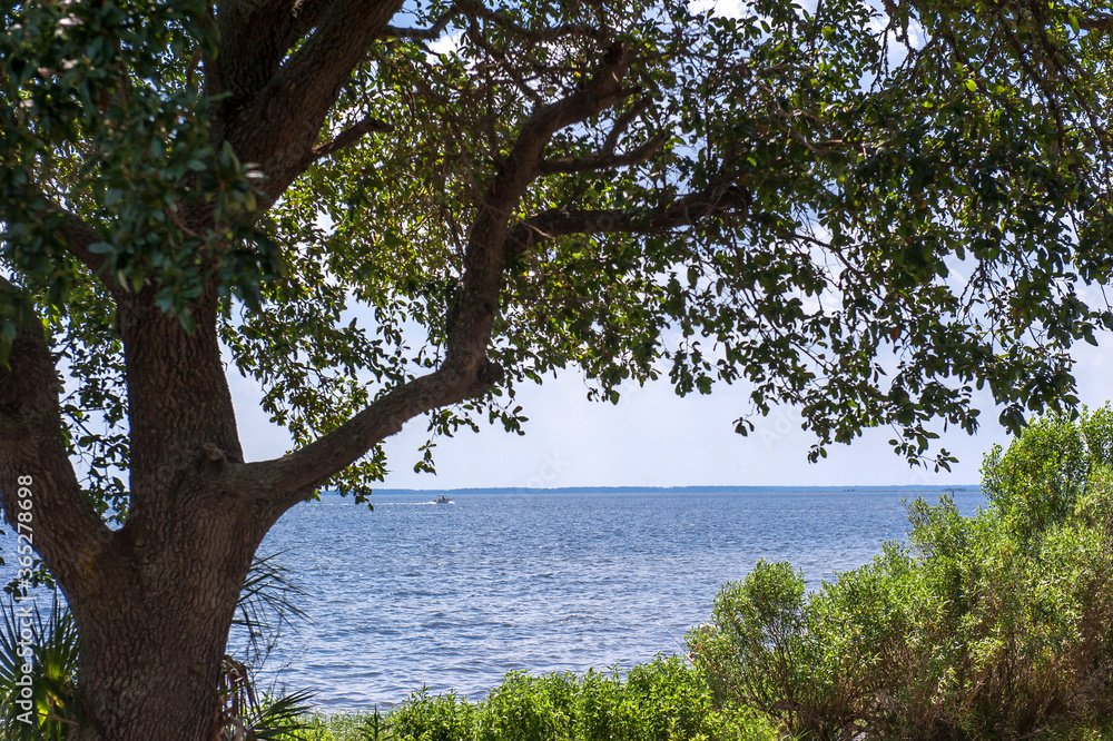 Beautiful sea shore seascape St mark state park,Florida.