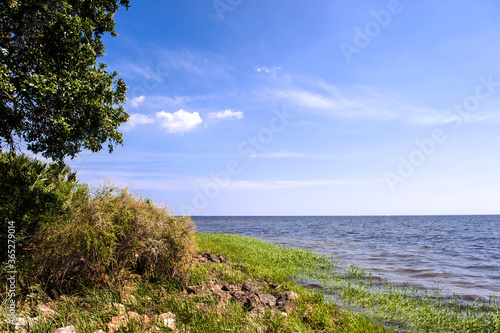 Beautiful sea shore seascape St mark state park,Florida.