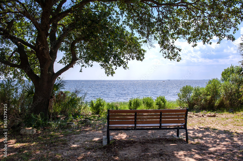 Beautiful sea shore seascape St mark state park,Florida. Beautiful sea shore seascape St mark state park,Florida.