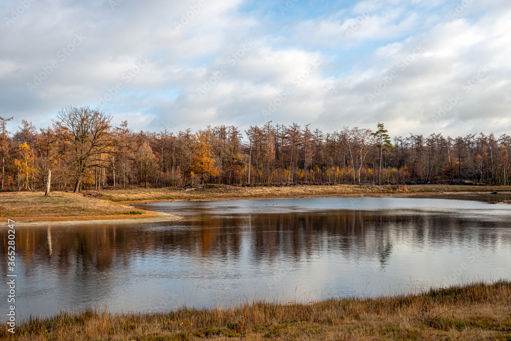 Silence and space at a lake in fall colors