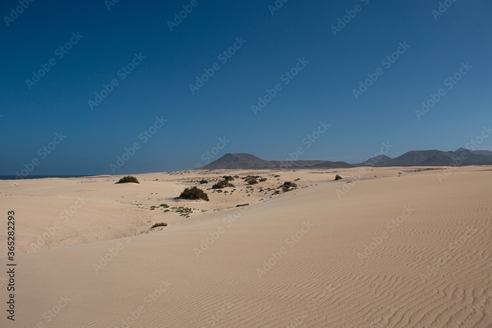 The Sand Dunes of Corralejo. Desert area near dune beach in Fuerteventura. 